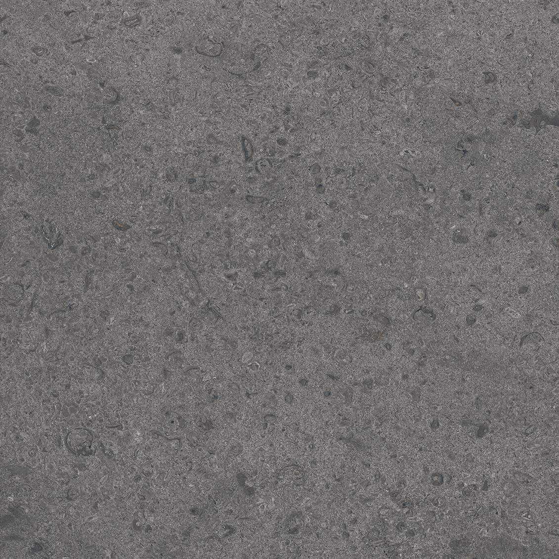 Jura Landscape Jura Landscape Basalt Glazed Porcelain face variation - Ace Premium Richmond BC