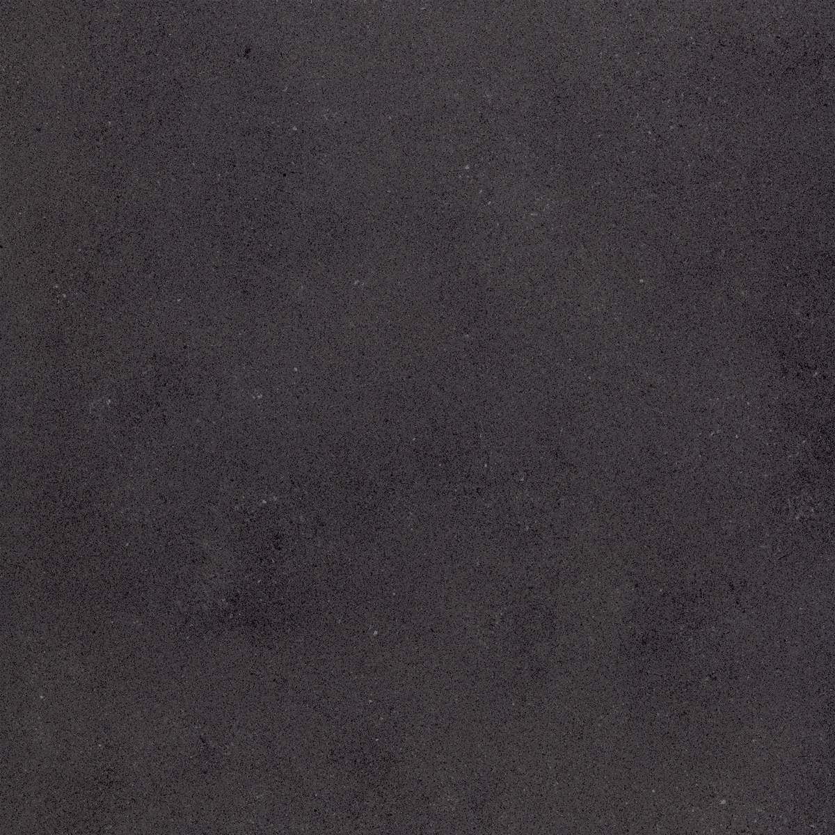 Neotec Neotec Black Glazed Porcelain face variation - Ace Premium Richmond BC
