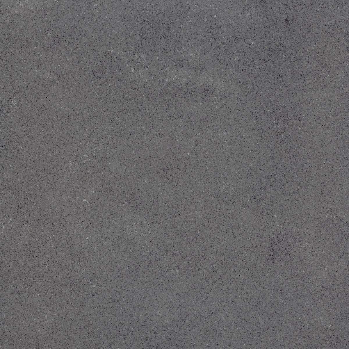Neotec Neotec Grey Glazed Porcelain face variation - Ace Premium Richmond BC