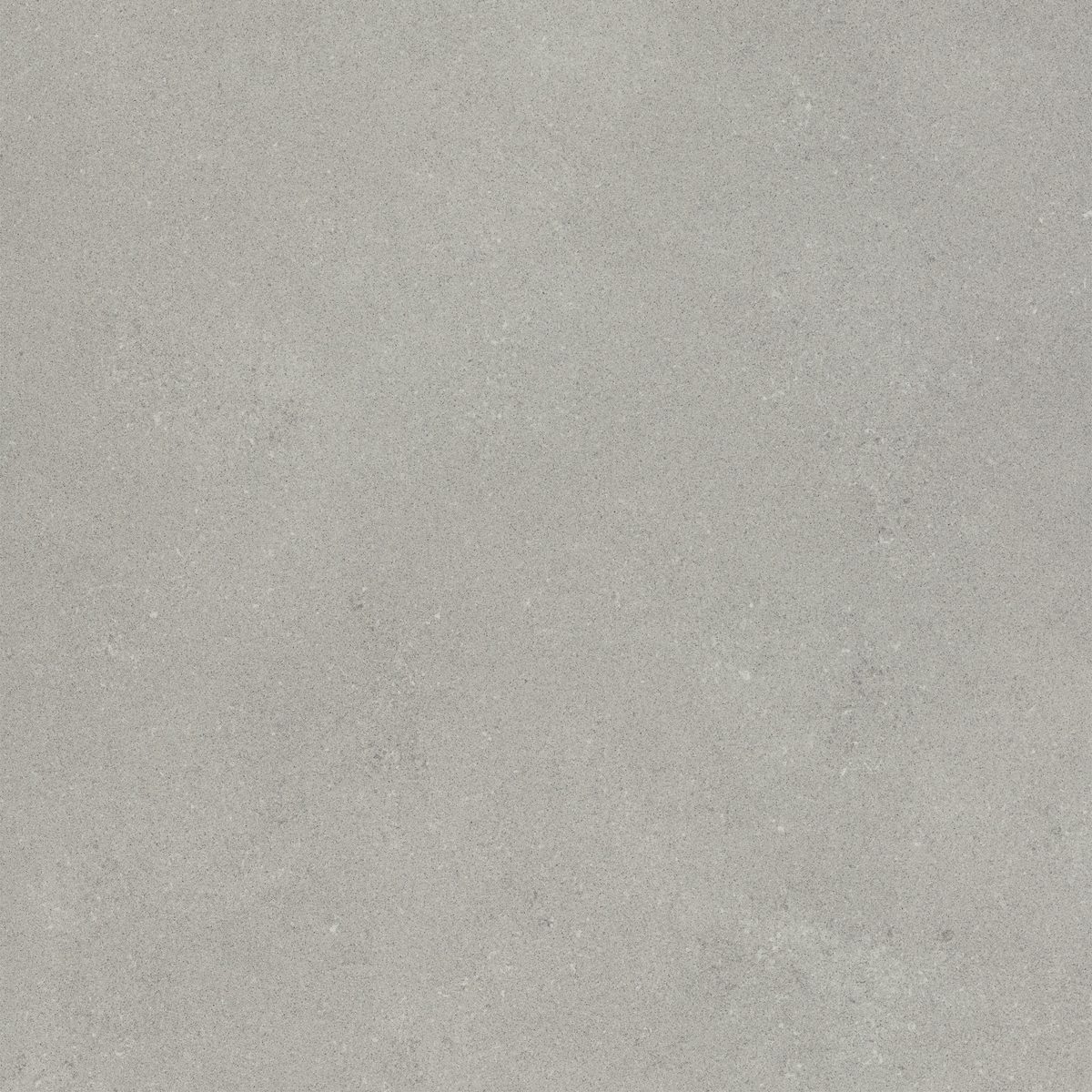 Neotec Neotec Light Grey Glazed Porcelain face variation - Ace Premium Richmond BC