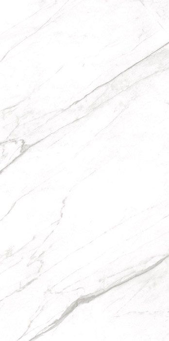 Goya Goya Porcelain face variation - Ace Premium Richmond BC