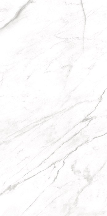 Goya Goya Porcelain face variation - Ace Premium Richmond BC