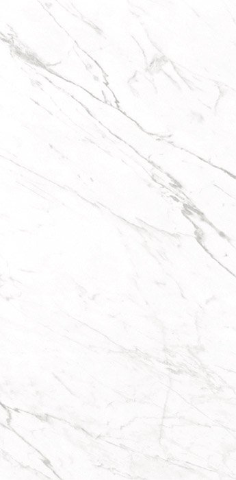 Goya Goya Porcelain face variation - Ace Premium Richmond BC