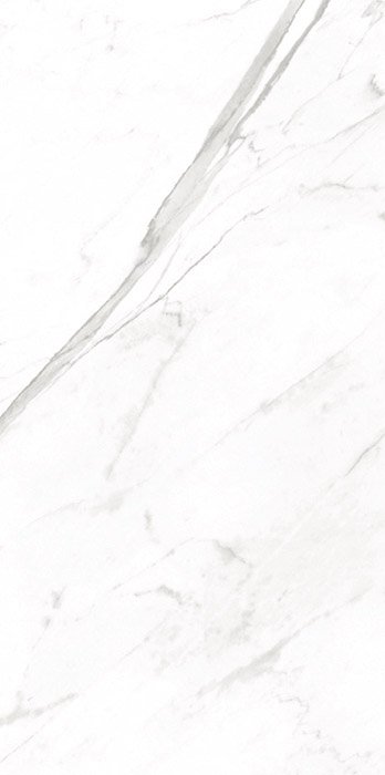 Goya Goya Porcelain face variation - Ace Premium Richmond BC