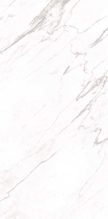 Goya Goya Porcelain face variation - Ace Premium Richmond BC