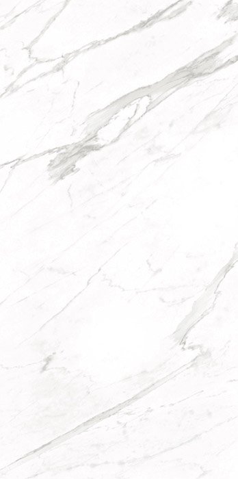 Goya Goya Porcelain face variation - Ace Premium Richmond BC