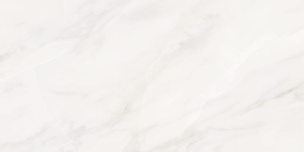 Bardiglio White  Porcelain face variation - Ace Premium Richmond BC