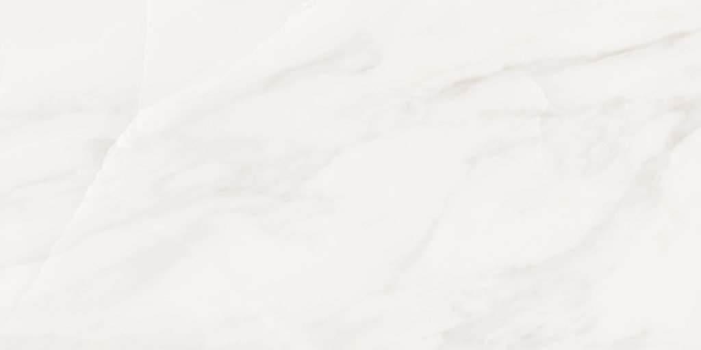 Bardiglio White  Porcelain face variation - Ace Premium Richmond BC