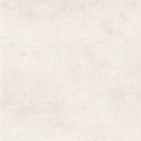 Ark Arkivory 1 Porcelain face variation - Ace Premium Richmond BC