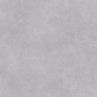 Ark Arksilver 1 Porcelain face variation - Ace Premium Richmond BC