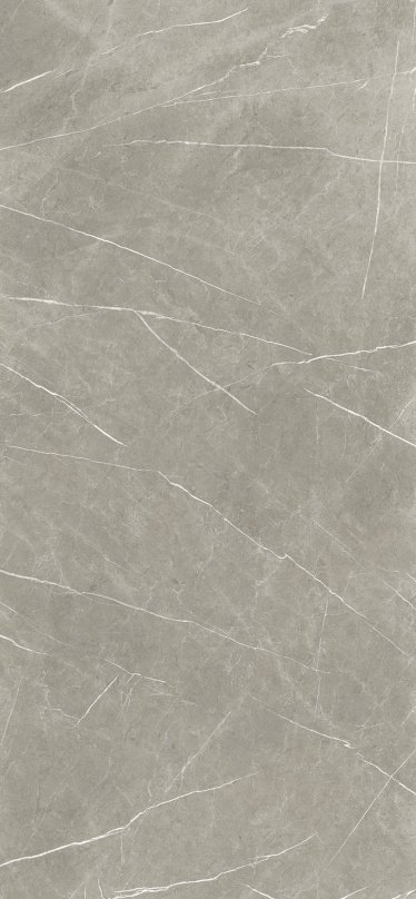 Eternal Eternal Taupe Porcelain face variation - Ace Premium Richmond BC