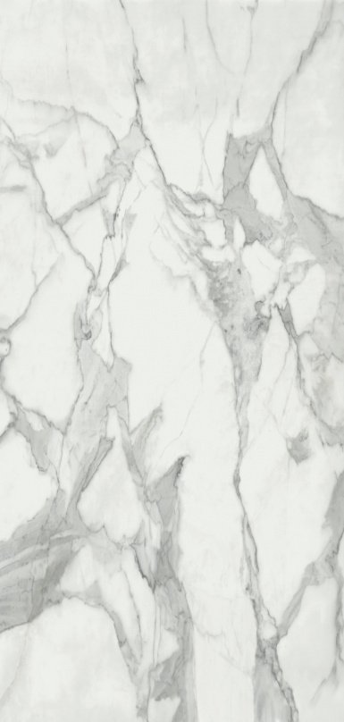 Invictus Invictus Polished Porcelain face variation - Ace Premium Richmond BC
