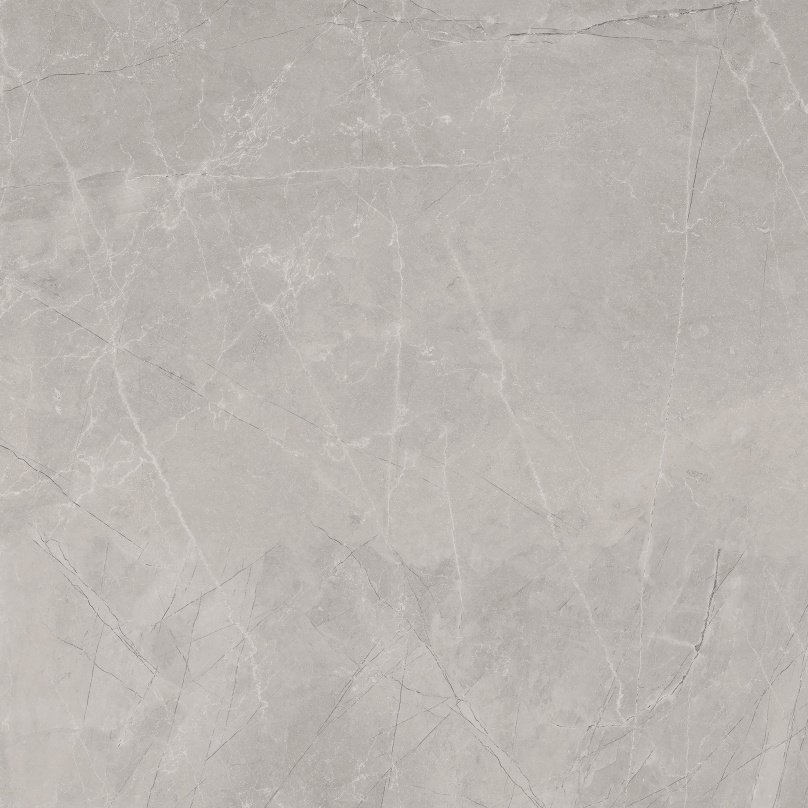 Bayona Bayona Silver Natural Porcelain face variation - Ace Premium Richmond BC