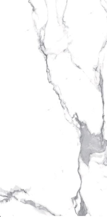 Carrara Carrara Porcelain face variation - Ace Premium Richmond BC