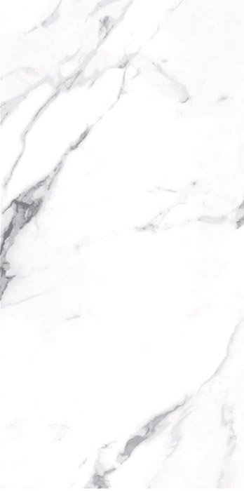 Carrara Carrara Porcelain face variation - Ace Premium Richmond BC