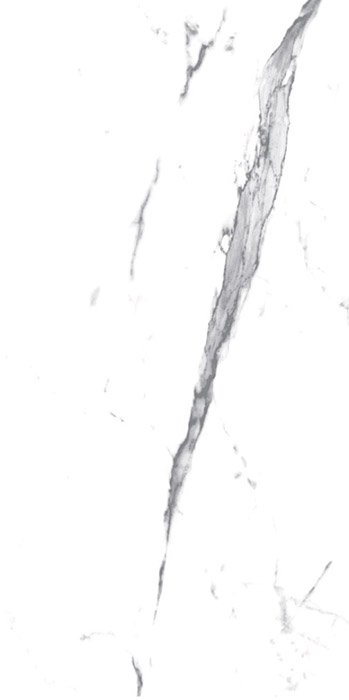 Carrara Carrara Porcelain face variation - Ace Premium Richmond BC