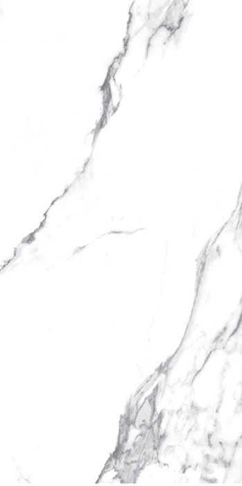 Carrara Carrara Porcelain face variation - Ace Premium Richmond BC