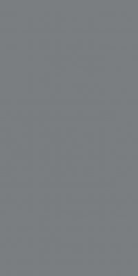Lead Lead Natural 1 Porcelain face variation - Ace Premium Richmond BC