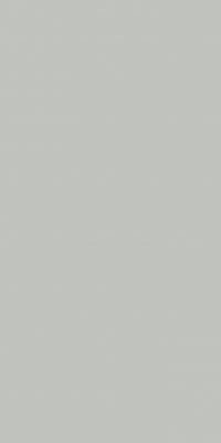 Silver LF Silver Natural 1 Porcelain face variation - Ace Premium Richmond BC